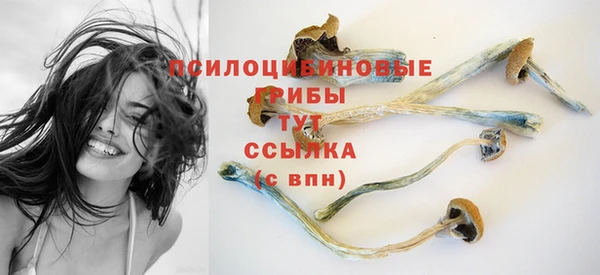 молекула духа Заволжск