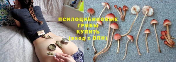 spice Заводоуковск