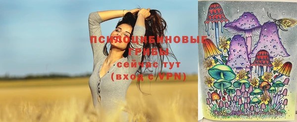 молекула духа Заволжск
