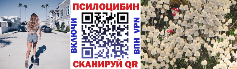 Галлюциногенные грибы Magic Shrooms  Купить  Калтан 